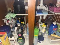 View of cabinet showing assorted cleaning bottles, bleach jug, dish soap, sponges, wire shelf