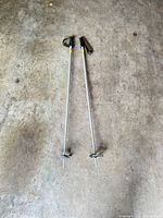 Full view of both aluminum ski poles on concrete floor