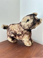 Left side view of mohair dog showing overall shape and fur condition