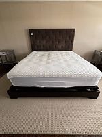 Full view of assembled bed frame with tufted headboard and mattress for scale