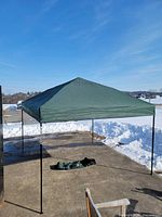 Canopy fully set up on driveway, showing overall structure and green top
