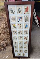 Full view of framed bird alphabet print standing upright