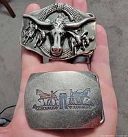 Both buckles overview