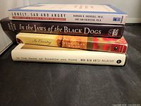 Stack of four books showing spines with titles and authors