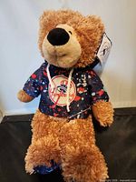 Full view of teddy bear in Yankees hoodie