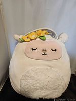Full front view of Sophie Lamb Squishmallow basket