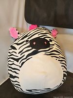 Front view showing zebra stripes, snout, pink ears