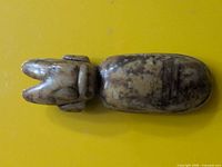 Top view highlighting overall shape and head detail