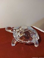 Front-side view of clear glass turtle figurine on red surface