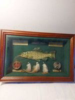 Full view of framed shadow box with trout, reels, flies