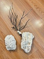 All three coral/reef rock pieces on floor