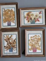 All four framed pressed flower pictures displayed on wall