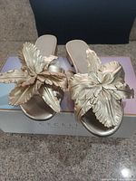 Top view of gold metallic leather slide sandals on Cecelia New York box