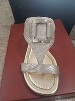 Front view of Donald Pliner Platino Vintage Lizard wedge sandal on box