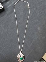 Full view of necklace showing chain length and pendant