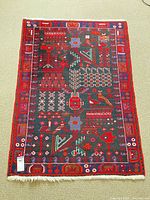 Full view of rug showing design and size