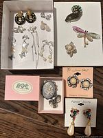 Overview of all earrings and brooches in boxes