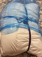 Down comforter folded in blue plastic storage bag