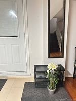 Entry area showing door, wall mirror, shoe rack, faux plant, entry mat