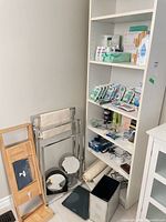 Shelf with oral-care products, soap, wipes, groomer, towel rack, bath mat, mirrors, scales, bin