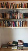 Two wall-mounted shelves filled with books plus additional stack on floor