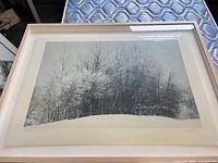 Full view of framed photograph in wood frame