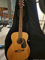 Front view of Renaissance acoustic guitar inside gig bag