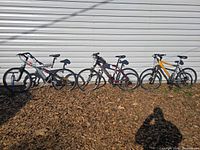 All three Trek bikes lined up side by side outdoors