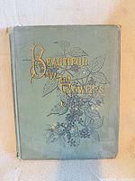 Front cover showing title, cloth boards, edge wear