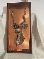 Full view of framed antelope head wall decor