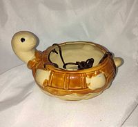 Top view of turtle planter bowl showing cords and glaze