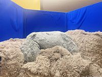 Faux fur lumbar pillow centered among matching pieces