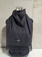 Full view of scarf draped on mannequin showing color, weave, fringe, and front label