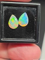 Pair of pear-cut opals in display box, showing play-of-colour