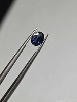 Oval royal blue sapphire held by tweezers showing pavilion