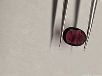 Front view of oval red spinel held by tweezers