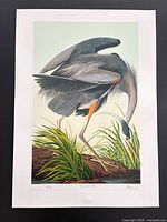 Full view of unframed print with margin