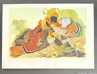 Full view of unframed "Ruffed Grouse" lithograph showing entire image and margins