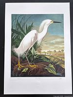 Full sheet view showing entire unframed print