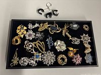 Overview of 29 brooches on black velvet tray