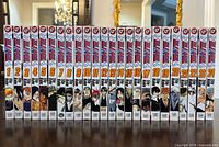 Spine view of Bleach volumes 1-24 lined up