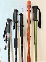 All five poles side-by-side showing grips and straps