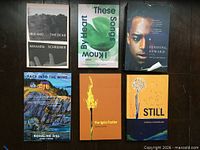 Front covers of all six novels