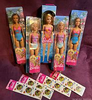 Front view of all five dolls in packaging with four sticker packs displayed