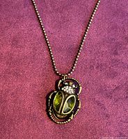 Full view of necklace showing pendant design and chain