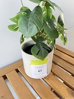 Front view showing artificial monstera plant in white ceramic pot