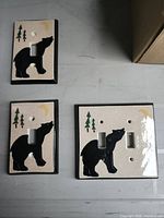 Front view showing single and two double ceramic bear switch plates