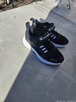 Full view of pair, left side angle