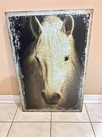 Front view of horse metal print showing image and distressed border