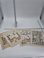 Full view of four album pages with Japanese stamps and measuring rulers for scale